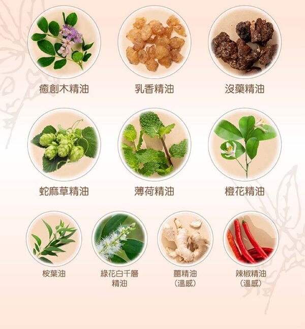 正光醫條根精油貼布10片裝 -涼感【合康連鎖藥局】：圖片 5